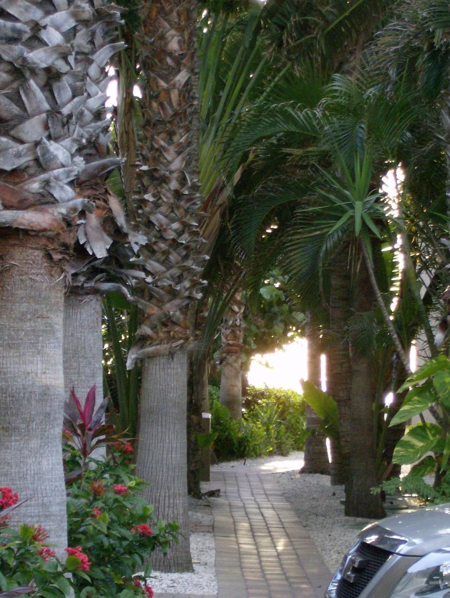Turtle Crawl Inn - Longboat Key Zewnętrze zdjęcie